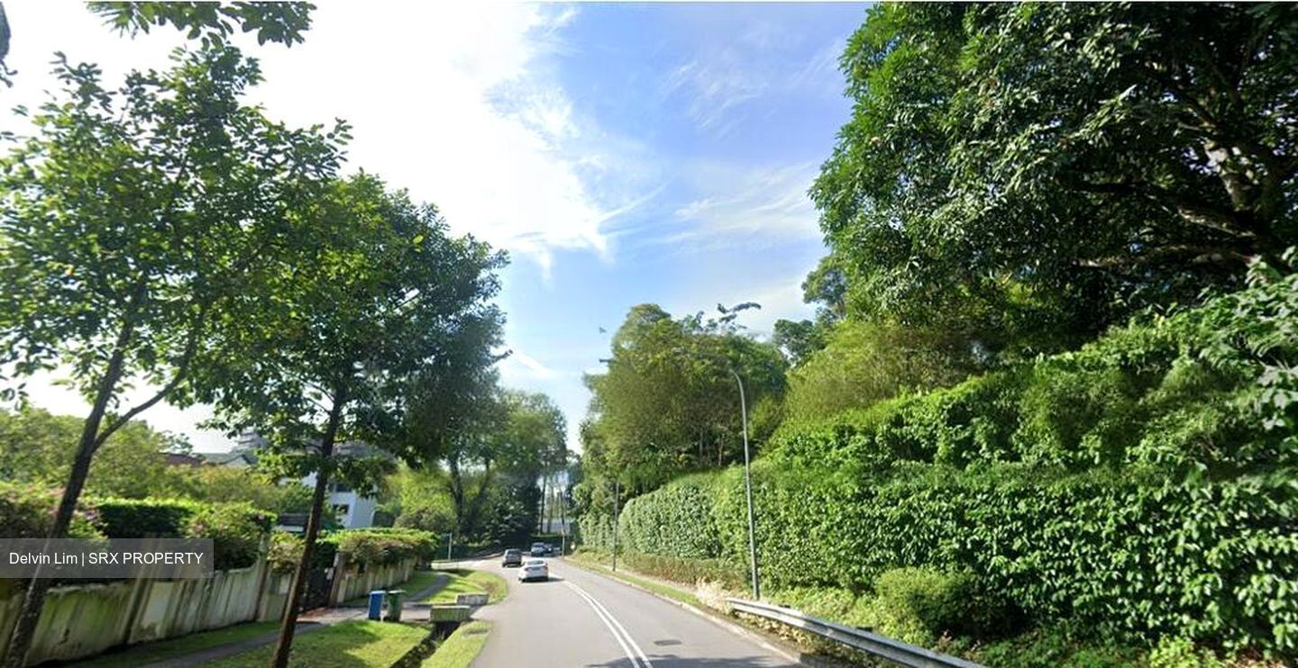 Nassim Road (D10), Detached #464671941